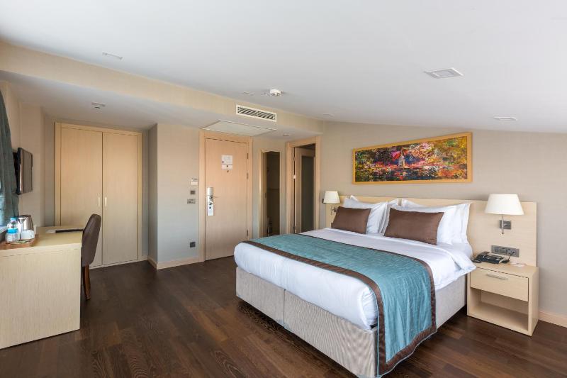 Superior Double or Twin Room image 2