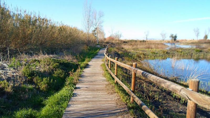 Villa Luny Playa Gandia - image 12