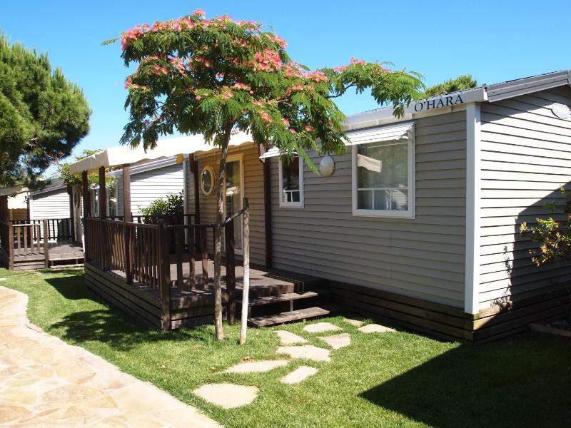 Three-Bedroom Bungalow image 1