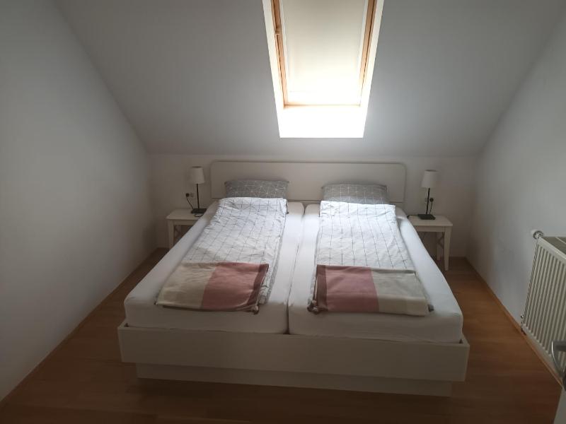 House Trta - image 8