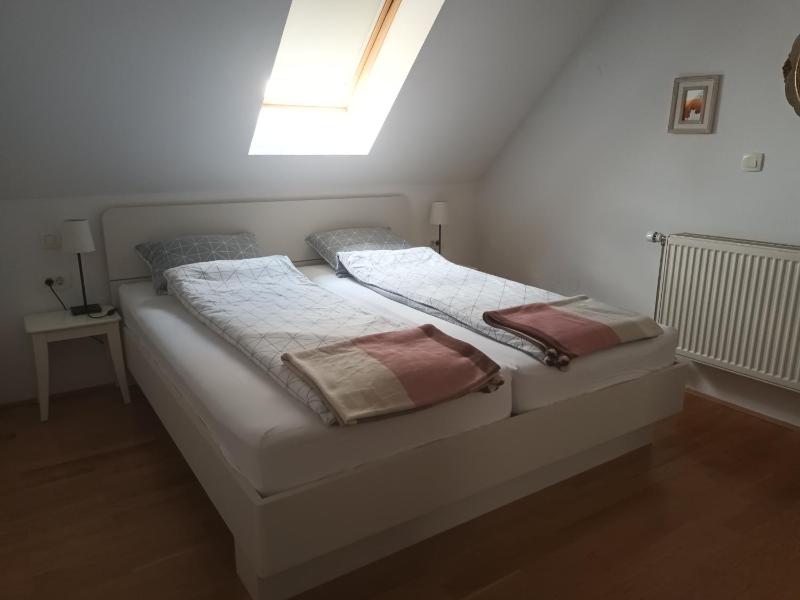 House Trta - image 15