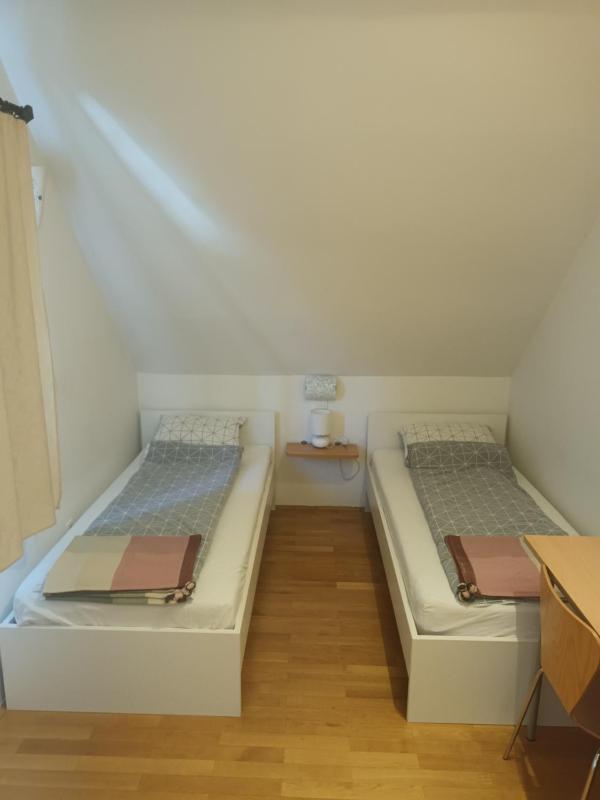 House Trta - image 10