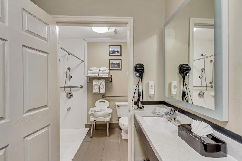 King Room - Accessible/Non-Smoking image 1