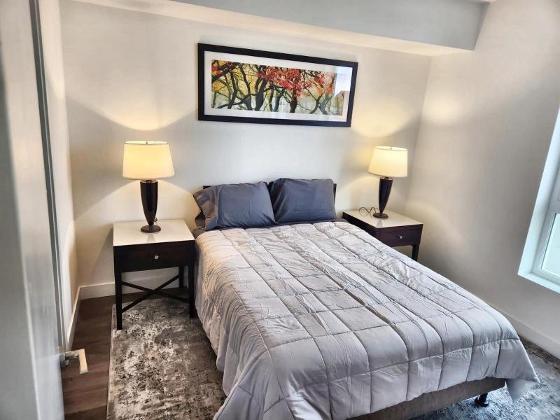 One-Bedroom Apartment image 4