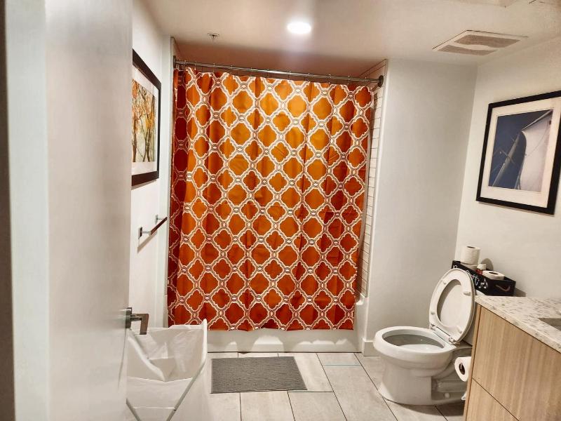 One-Bedroom Apartment image 3