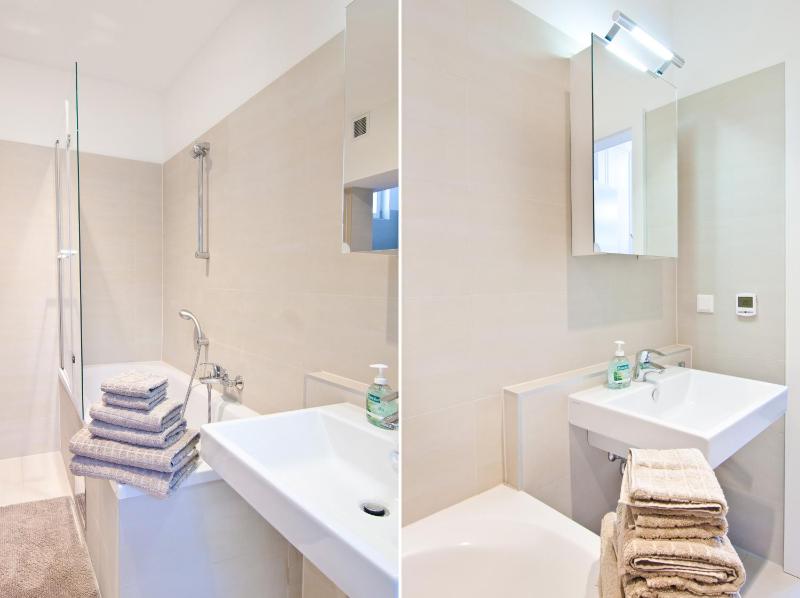 One-Bedroom Apartment image 4