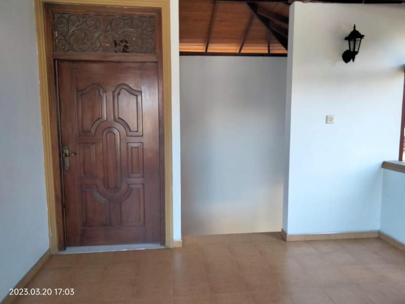 Ivory House - image 6
