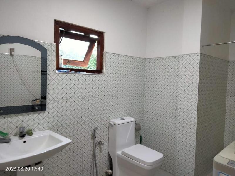Ivory House - image 3