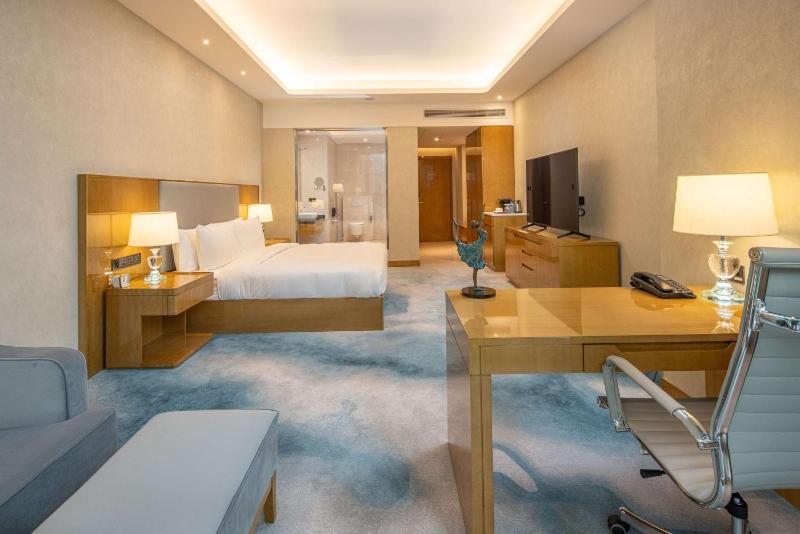 Hilton Brazzaville Les Tours Jumelles Hotel & Residences - image 7