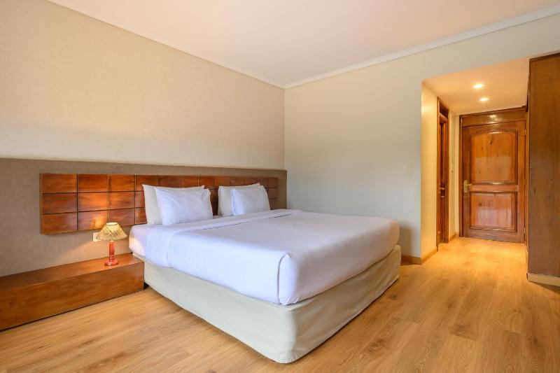 Exe Hotel Cataratas - image 8