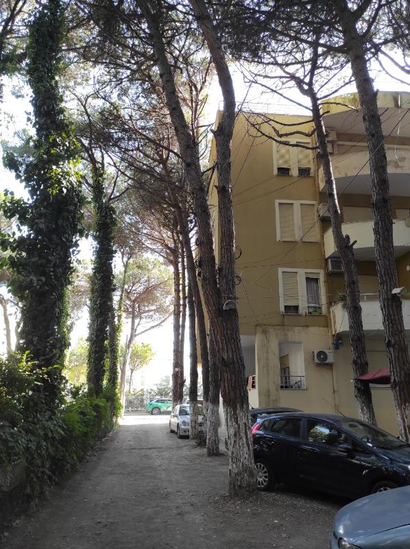 The Blue Apartment - image 11