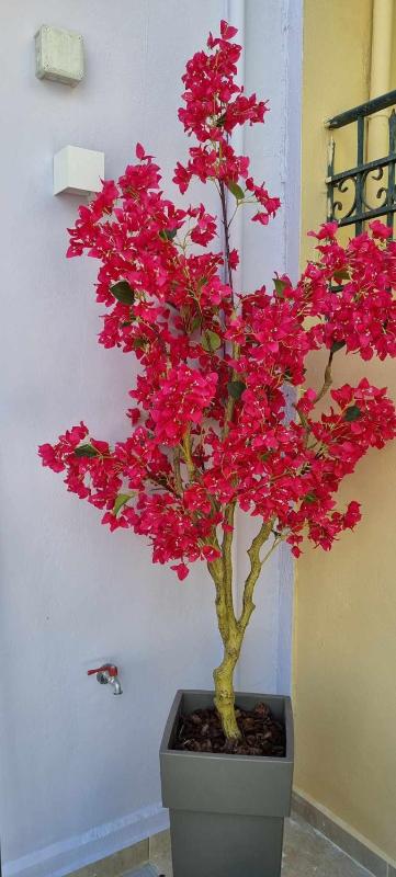 Fiore  200m from central square - image 13