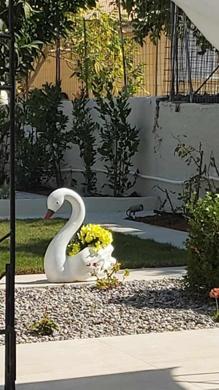 Fiore  200m from central square - image 23