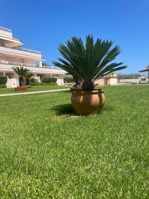 Apartamento Cala Josep - bajo con dos terrazas- - image 10