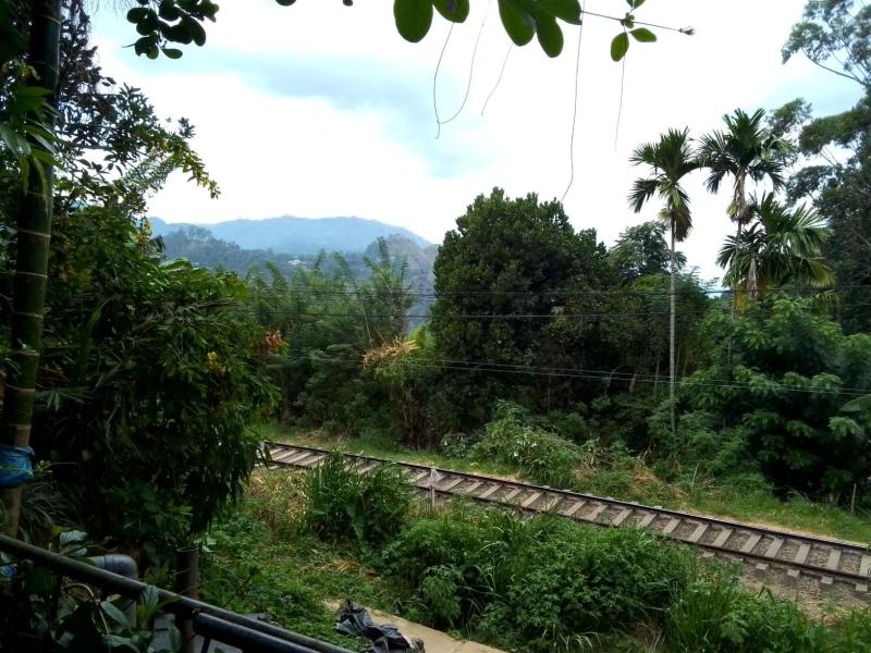 Charming View Homestay - image 38