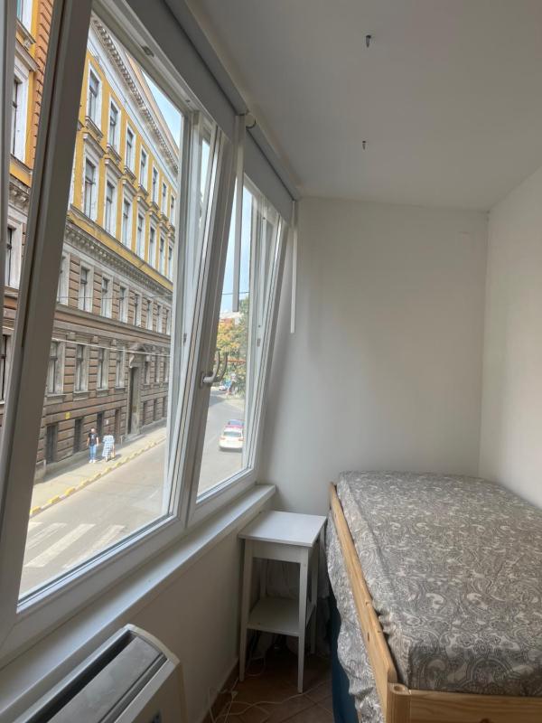 SFF Central Apartment - image 4