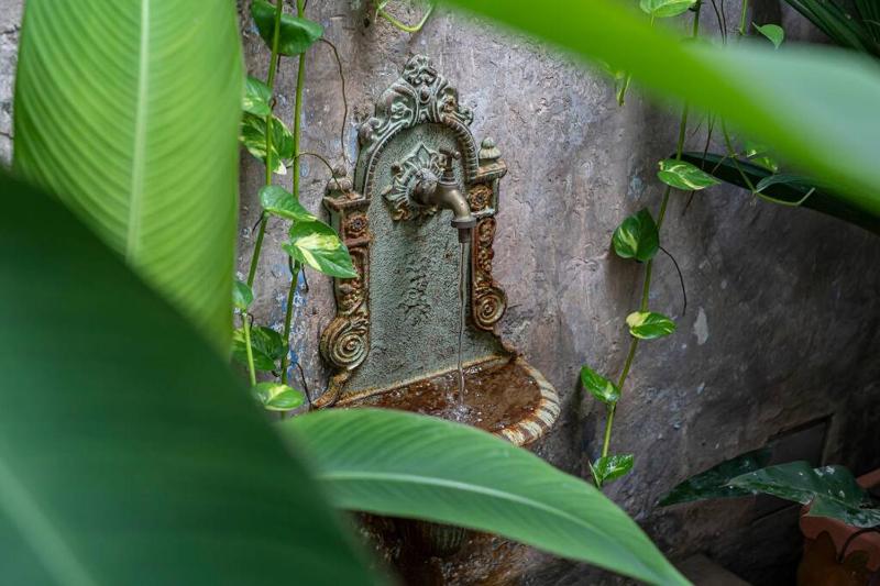 Luxury Tropical Villa in Cartagena Historic City - image 16