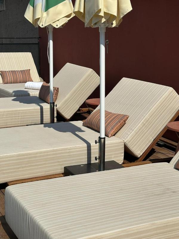 Anise Aluma Athens Tapestry Collection by Hilton - image 13