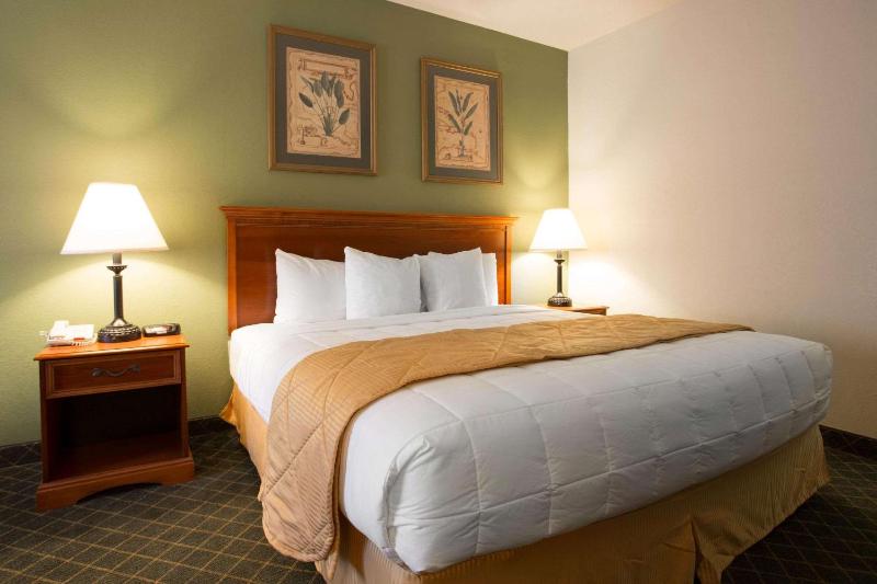 King Room - Non-Smoking image 2