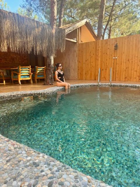 Villa with Private Pool image 3