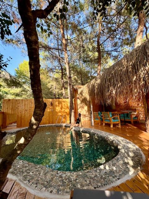 Villa with Private Pool image 2