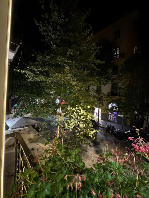Guest House Regina Carolina - image 15