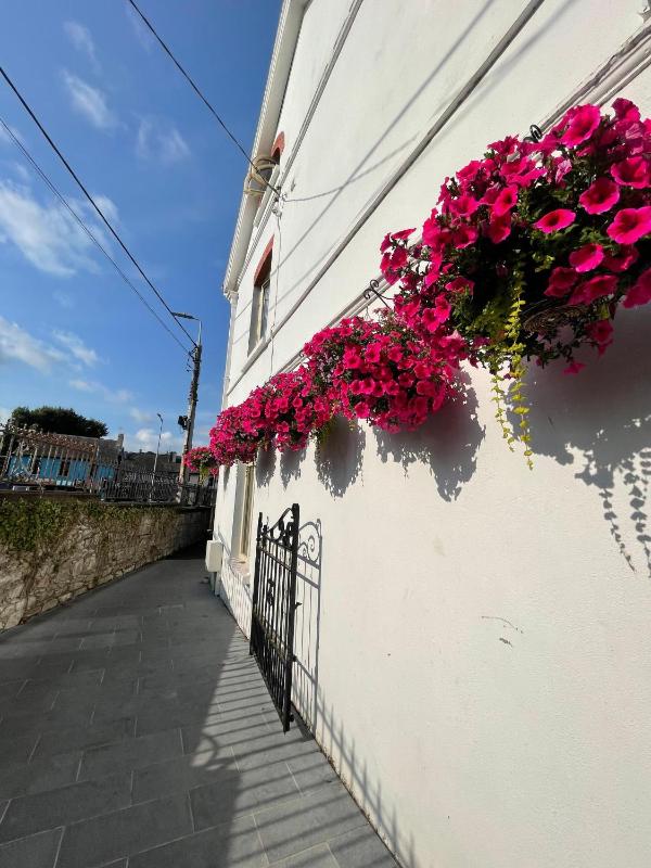 Shandon Bells Guest House - image 7