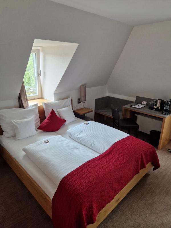 Superior Double Room image 4