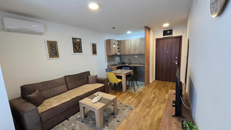 Luxe Apartman Sokobanja - image 8