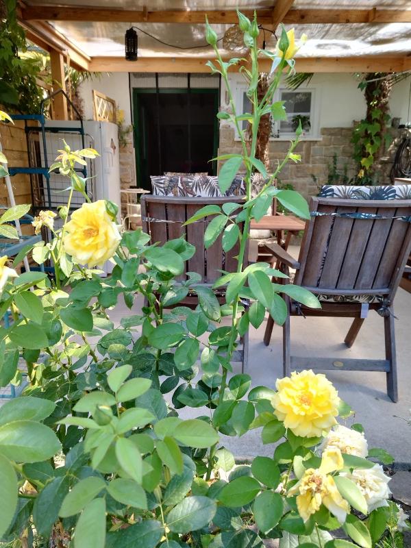 Studio S Images