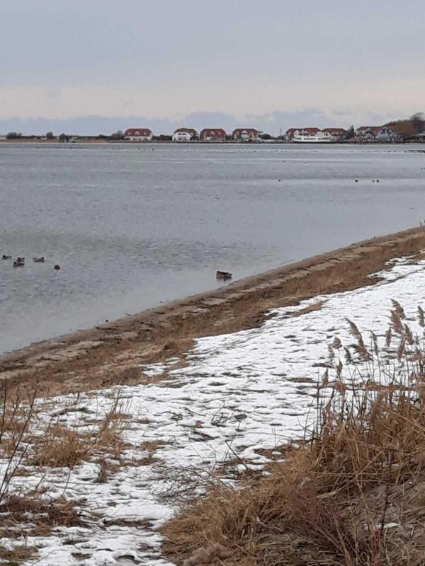 Fewo`s Birkenweg Ostseebad Rerik - image 37