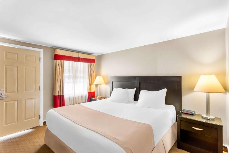 Standard King Room - Non-Smoking  image 1