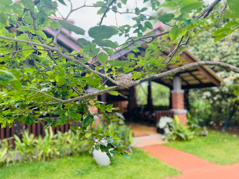 Foresta Resort Sigiriya - image 13