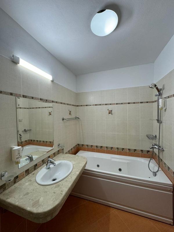 One-Bedroom Apartment image 4