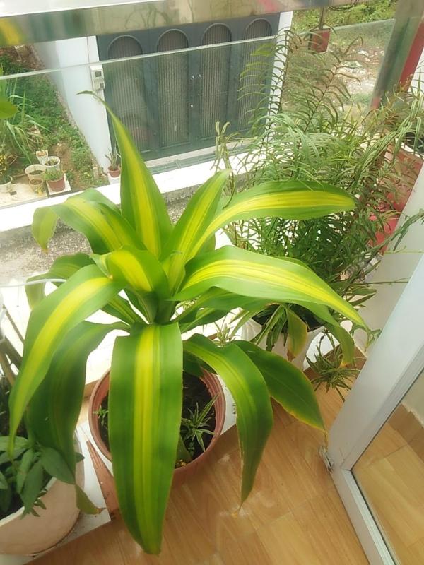 Thủ Đức Home - Nơi nghỉ ngơi như ở nhà ấm áp tình thân - image 18