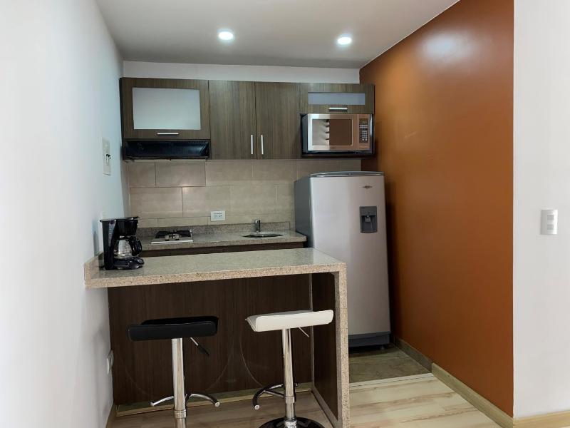 Apartamentos Regency La Feria - image 12