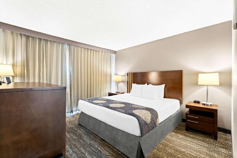 Standard King Room image 4