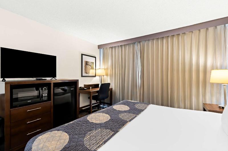 Standard King Room image 3