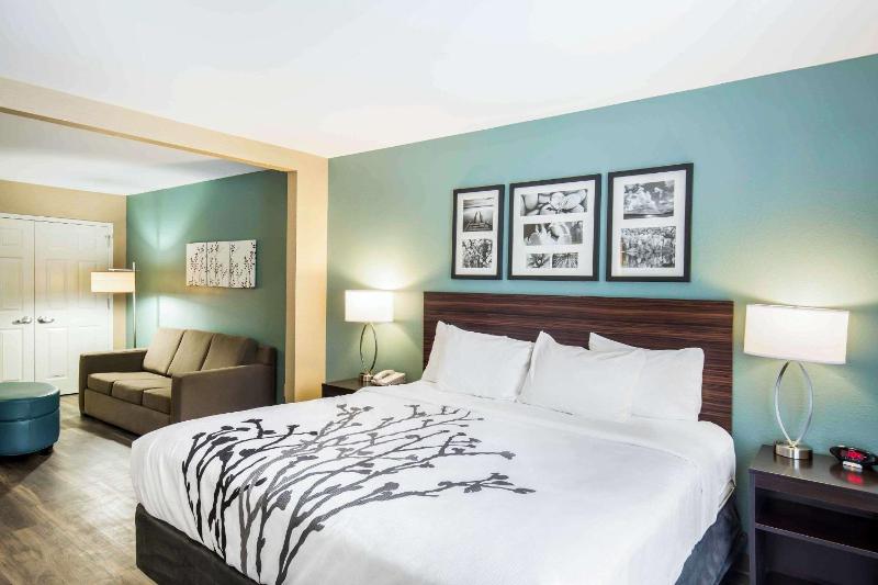 King Suite - Non-Smoking image 1