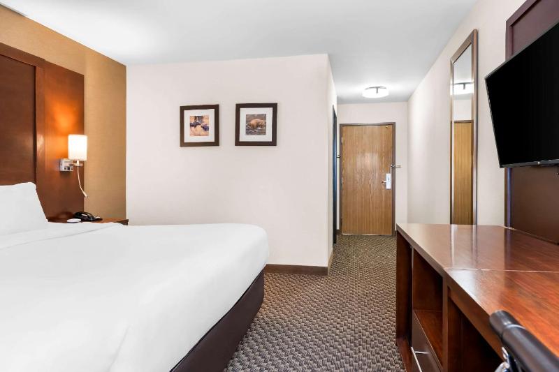 King Room - Non-Smoking image 4
