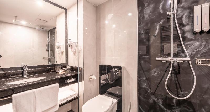 Deluxe Single Room image 2