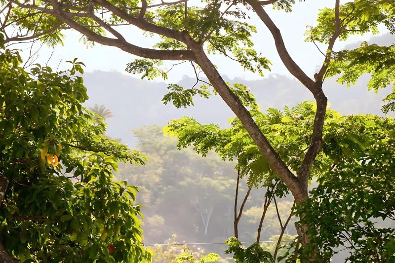 Modern 2BR Condo - minutes from Jaco Beach - PRIME location - image 16