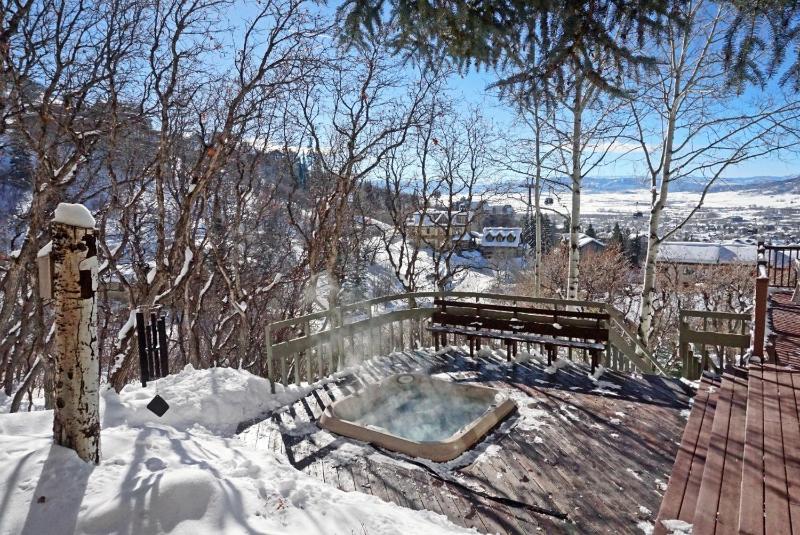 Private Hot Tub Gondola Views Less Than 100 Yards to Slopes - image 24