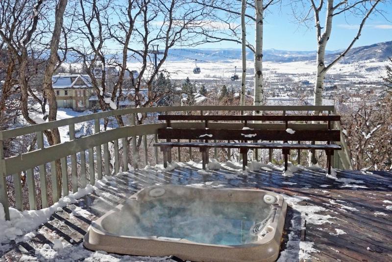 Private Hot Tub Gondola Views Less Than 100 Yards to Slopes - image 47