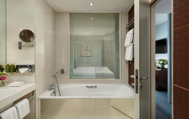 Deluxe Twin Room image 1