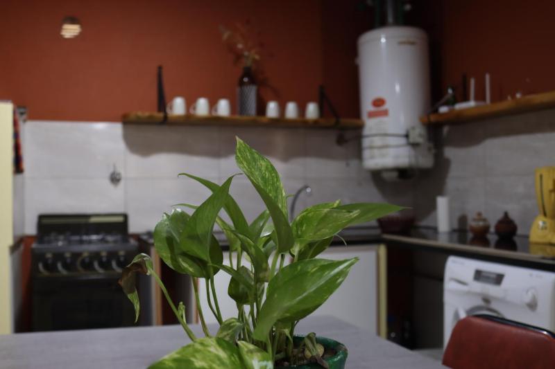 Casa El Roble - image 29