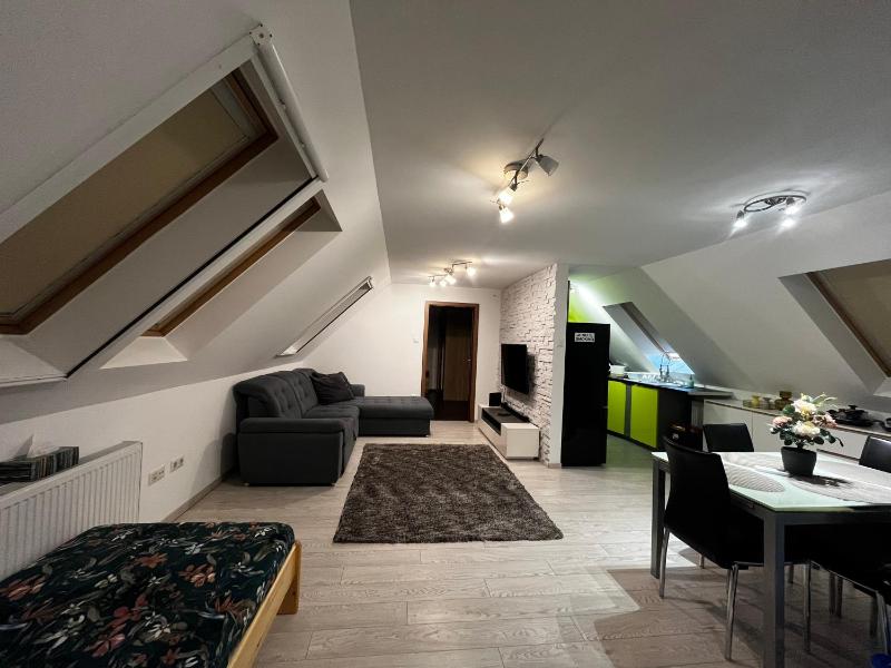 Two-Bedroom Family Apartment image 1