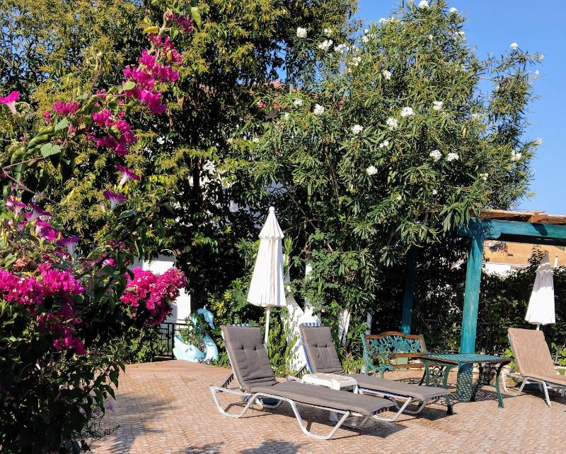 Harmony resort - image 21