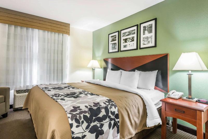 King Room - Non-Smoking image 3