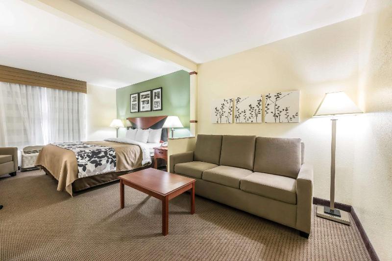 King Suite - Non-Smoking image 3